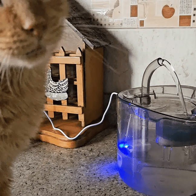 Fuente De Agua Gatos Bebedero Automatico